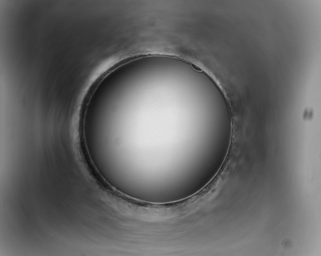X0000102850008200808181428