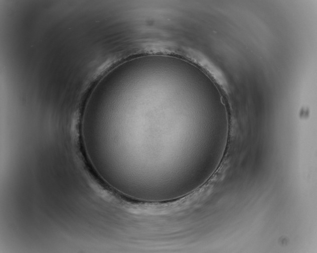 X0000102850009200808181428