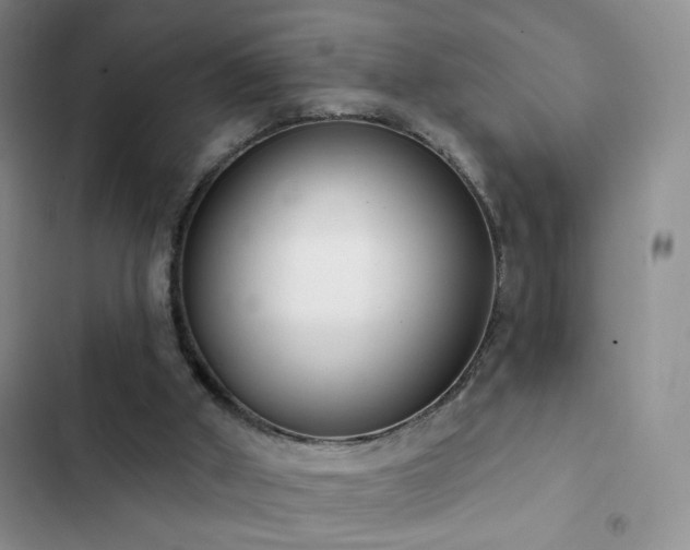 X0000102850010200808181428
