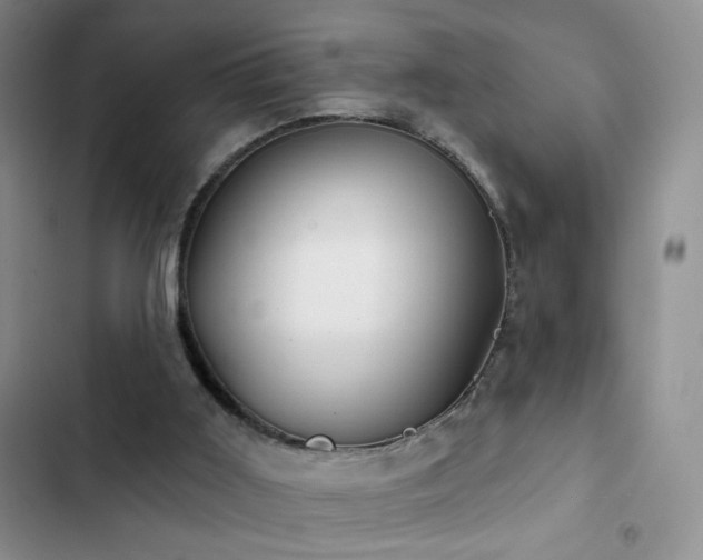X0000102850011200808181428
