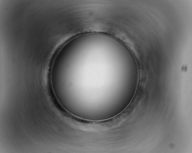 X0000102850012200808181428