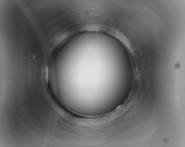 X0000102850013200808181428