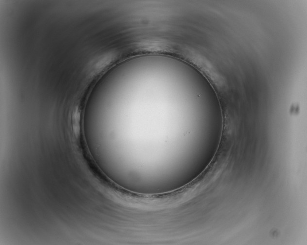 X0000102850014200808181428