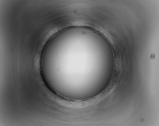 X0000102850015200808181428