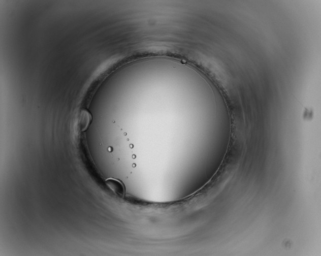X0000102850016200808181428