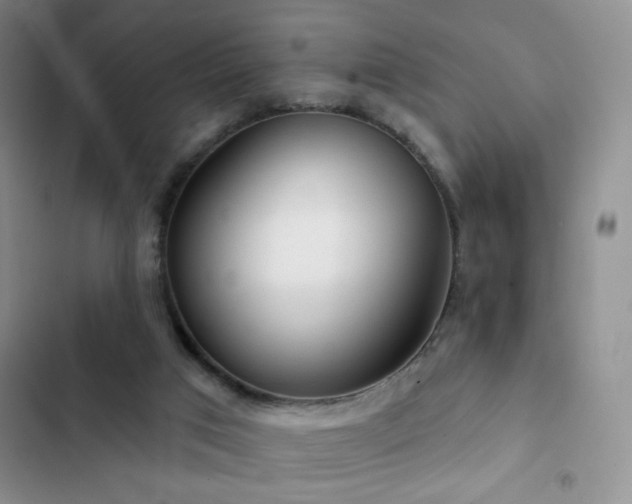 X0000102850017200808181428