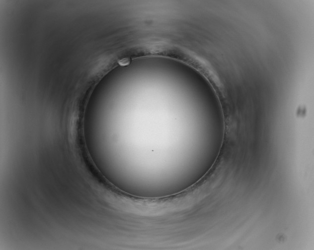 X0000102850018200808181428