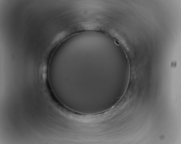 X0000102850019200808181428