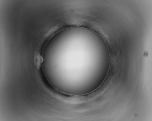 X0000102850020200808181428