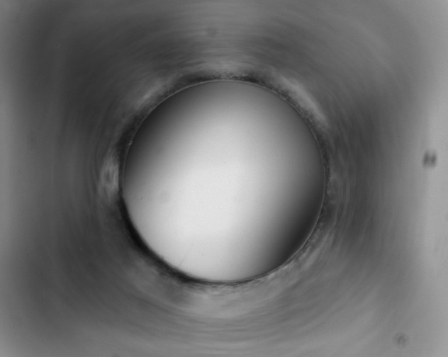 X0000102850021200808181428