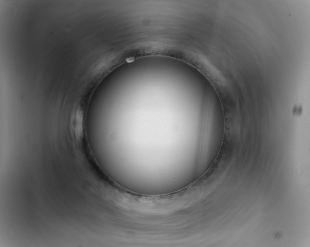 X0000102850022200808181428