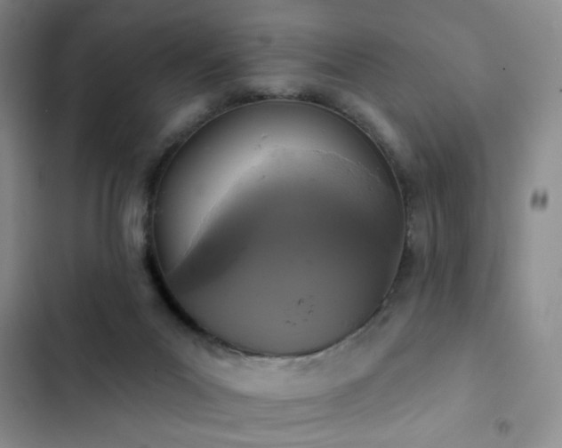 X0000102850023200808181428