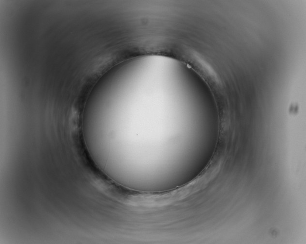 X0000102850025200808181428