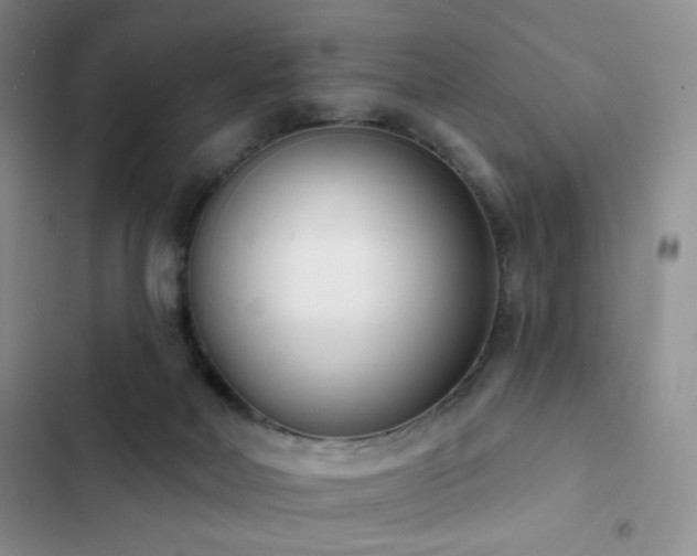 X0000102850026200808181428