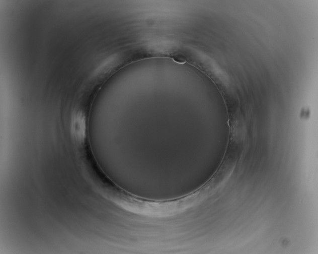 X0000102850027200808181428