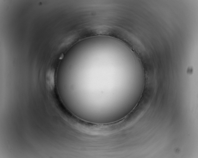 X0000102850028200808181428