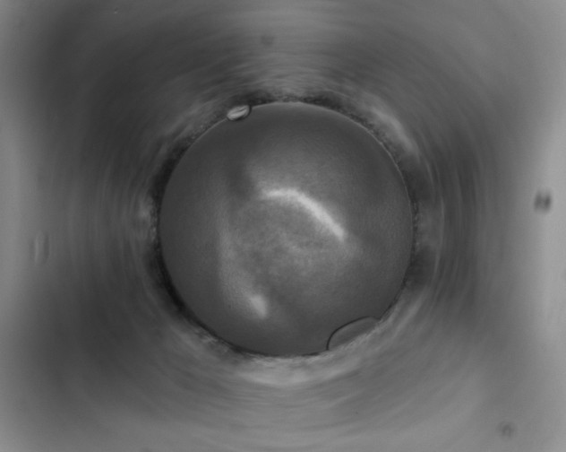 X0000102850029200808181428