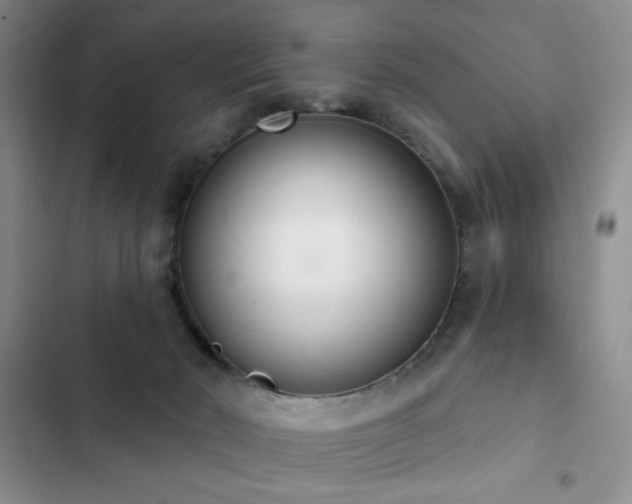 X0000102850030200808181428