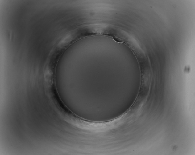 X0000102850031200808181428