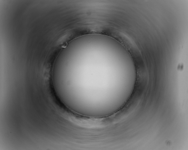 X0000102850032200808181428