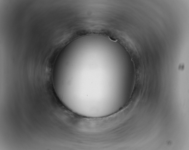 X0000102850033200808181428