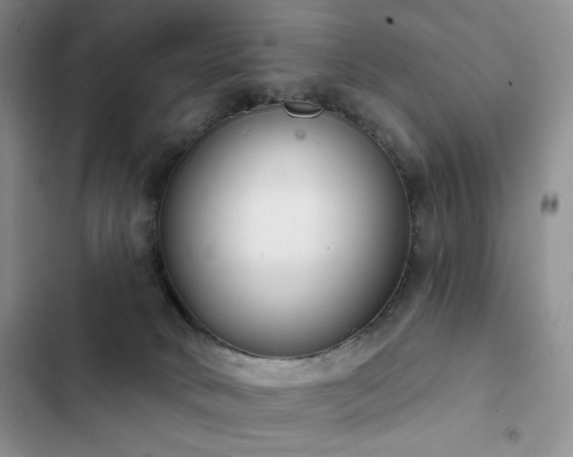 X0000102850034200808181428
