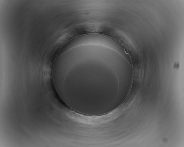 X0000102850035200808181428