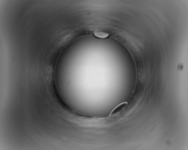 X0000102850036200808181428