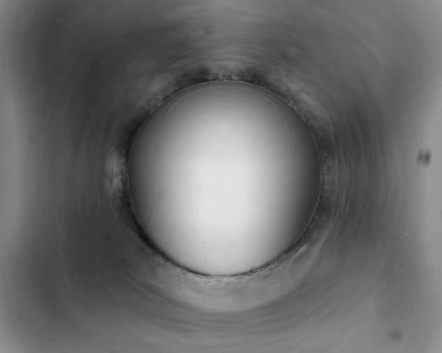 X0000102850038200808181428