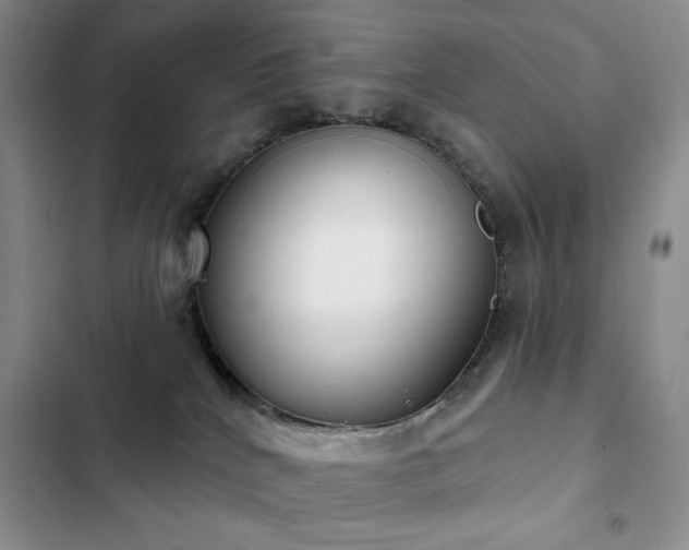 X0000102850040200808181428