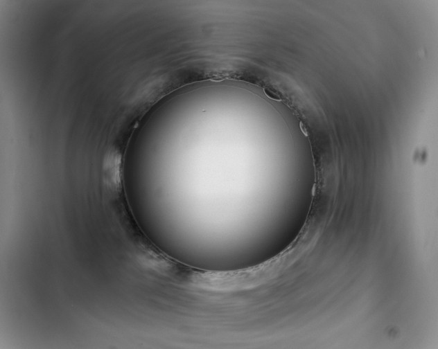 X0000102850041200808181428