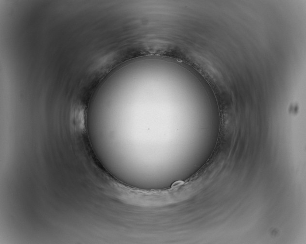 X0000102850042200808181428