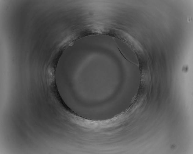 X0000102850043200808181428