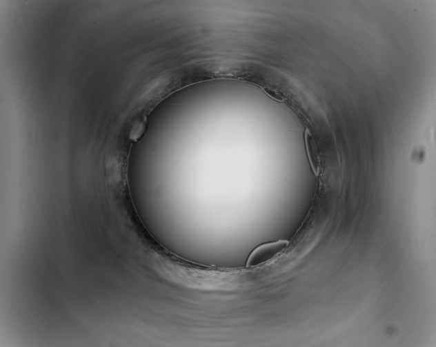 X0000102850044200808181428