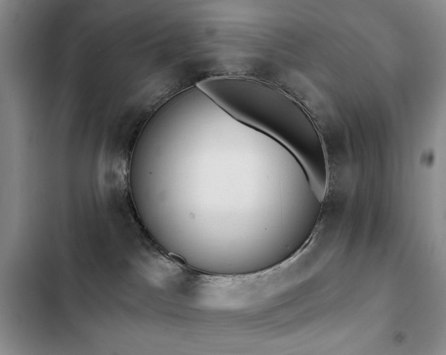 X0000102850045200808181428