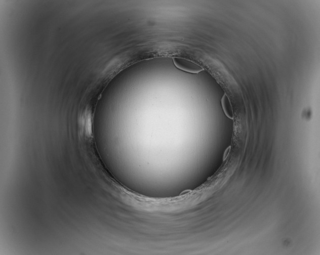 X0000102850046200808181428