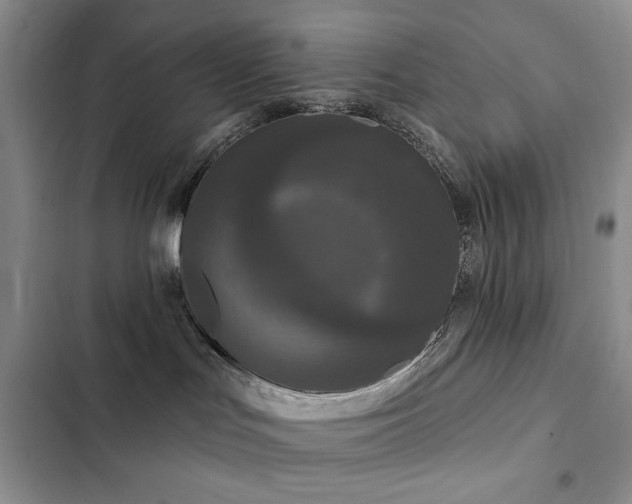 X0000102850047200808181428