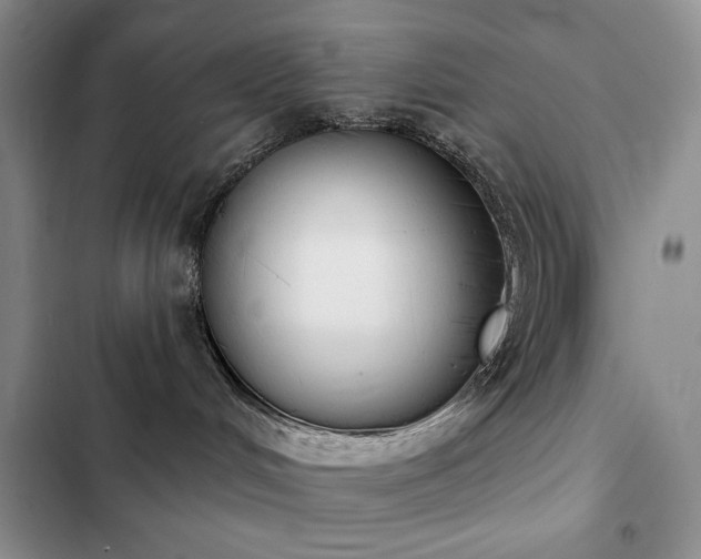 X0000102850048200808181428
