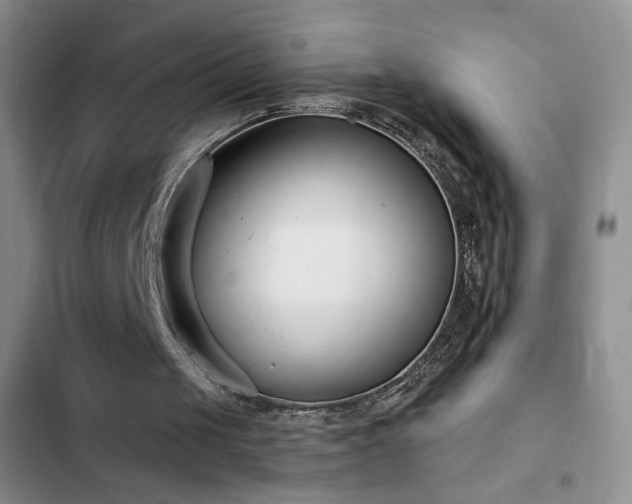 X0000102850049200808181427