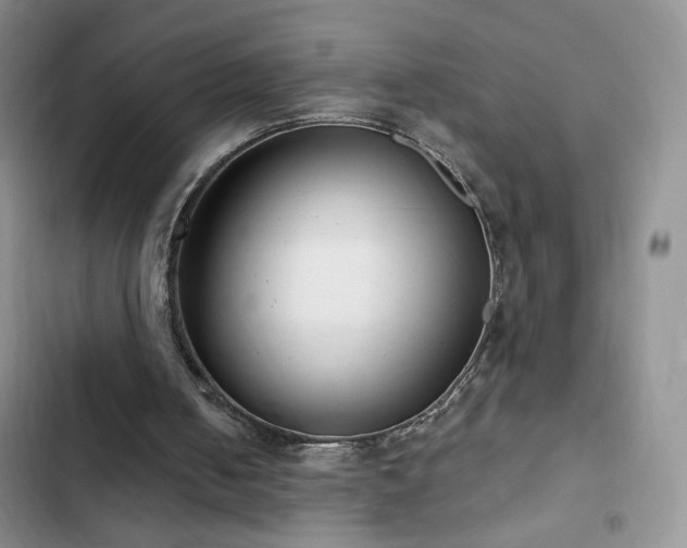 X0000102850050200808181427