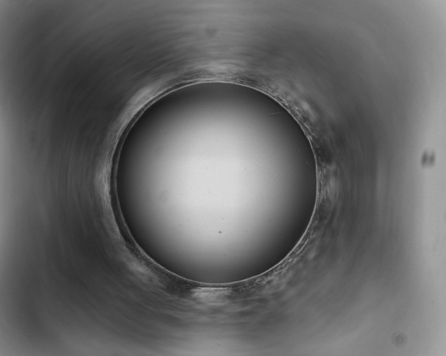 X0000102850051200808181427
