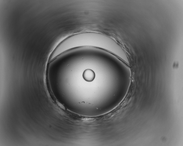 X0000102850052200808181427