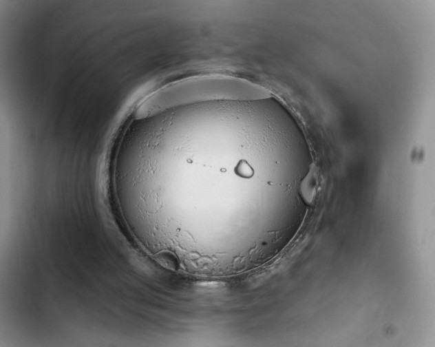 X0000102850053200808181427