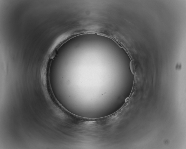 X0000102850054200808181427