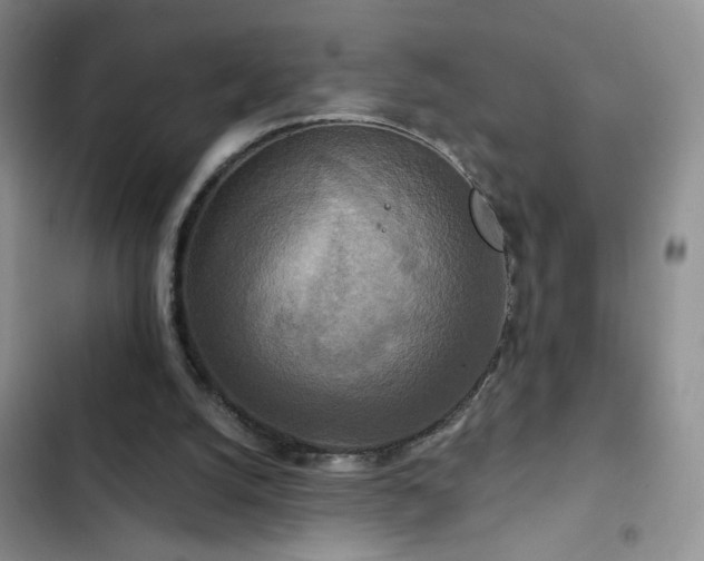 X0000102850056200808181427
