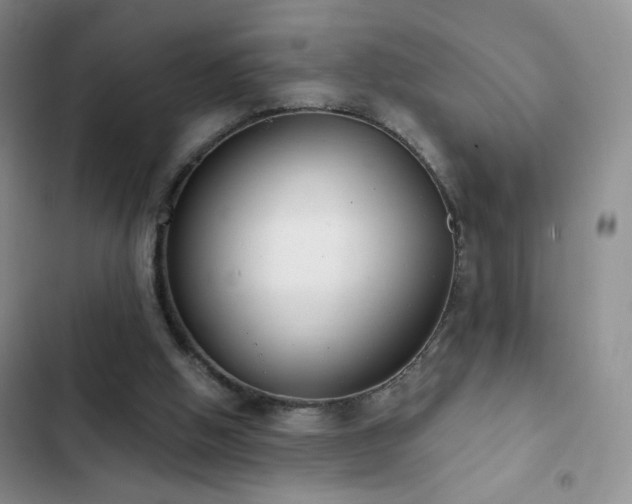 X0000102850058200808181427