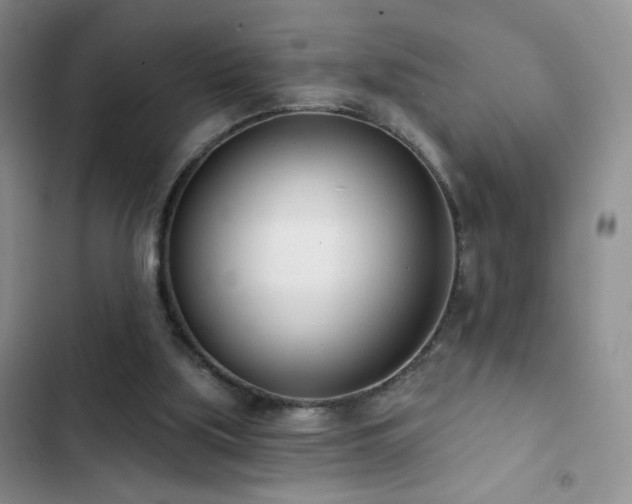 X0000102850059200808181427