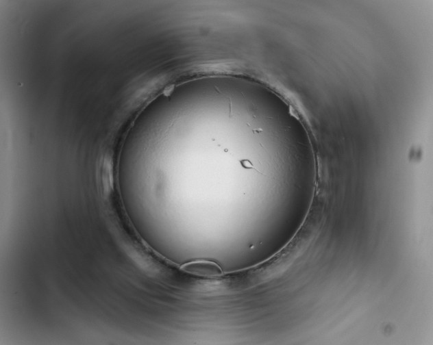 X0000102850061200808181427