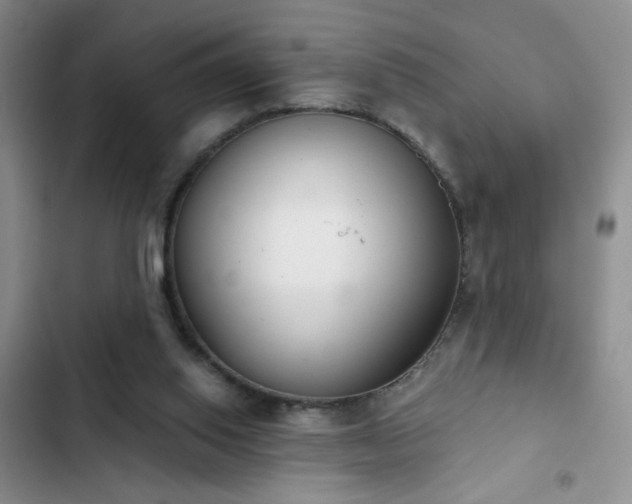 X0000102850062200808181427