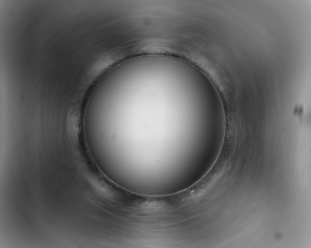 X0000102850063200808181427